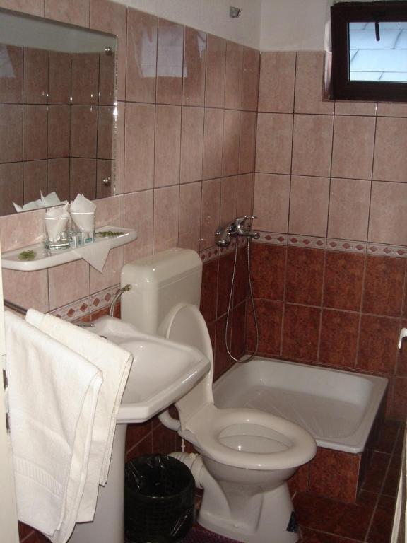 Vila Cristina Ceahlău Værelse billede